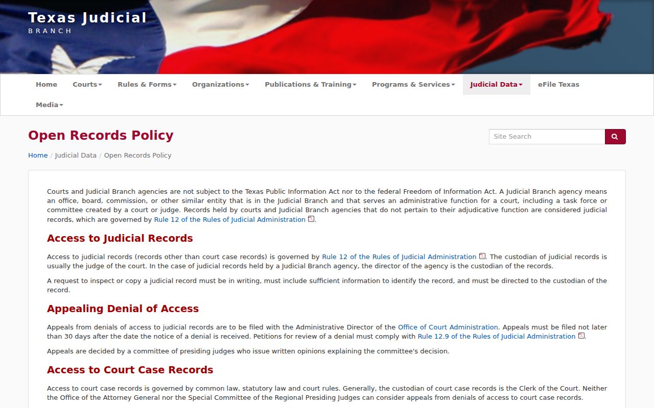 Clay County arrest warrant records: Texas Rule 12 judicial access policy